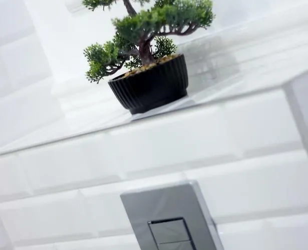 Clicktheflat The Rising Museum * Varsó