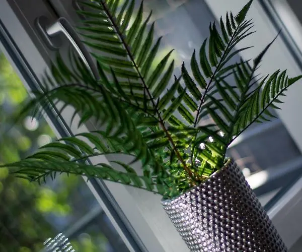 Clicktheflat The Rising Museum Apartman